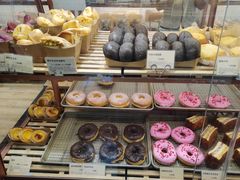 -多乐之日(五道口店)