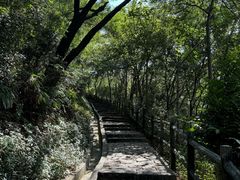 -龙城公园-停车场