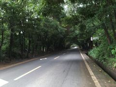 -西南交通大学(峨眉校区)