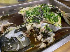 蒸皖鱼-潮记农庄