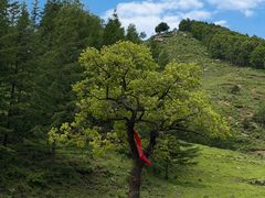 -驼梁风景区