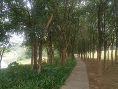 -福建鲤鱼洲酒店