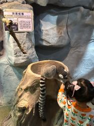 -Zoolung Zoolung动物主题公园(海信广场店)