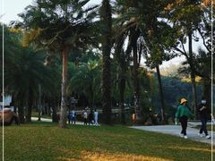 -深圳仙湖植物园