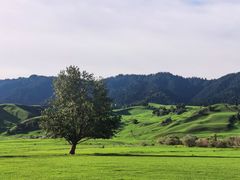-新疆那拉提国家旅游度假区