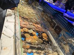 -加餐海鲜自助(宝龙一城店)