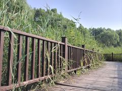 景点-南海子公园