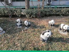 -宝月楼·台湾菜馆(天河城店)