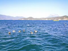 -丽江泸沽湖景区