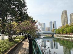 -成都市活水公园