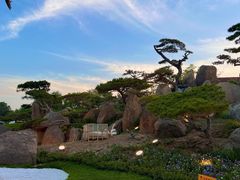 -罗红摄影艺术馆