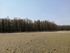 -四明湖