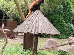 -上海野生动物园