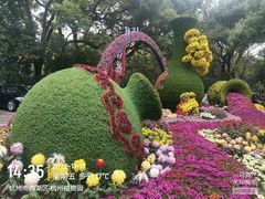 -杭州植物园