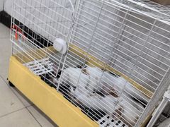 -夏家大锅台炖鱼馆