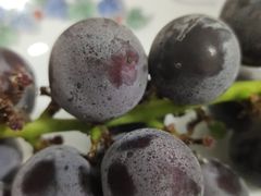 -沪陵农贸市场