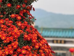 -国家植物园