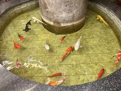 -古莲·影院足道·按摩SPA(水上温泉店)
