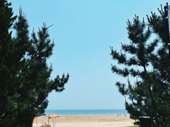 -日照海滨国家森林公园