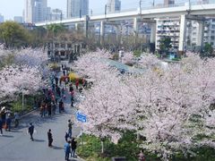 -鲁迅公园