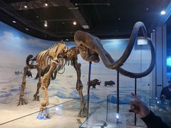 -辽宁古生物博物馆