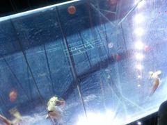 -三亚千古情景区游客中心-接待中心