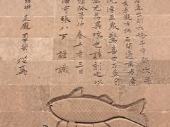 -白鹤梁水下博物馆