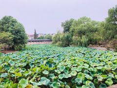 -东坡赤壁风景名胜区