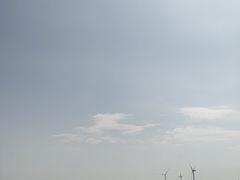-南汇新城海滩