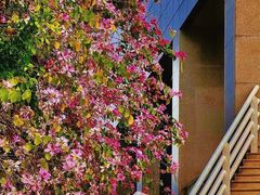 -广东工业大学(大学城校区)