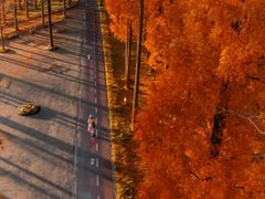 -黄海国家森林公园