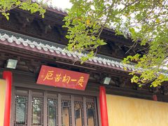 -灵谷景区