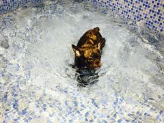 -MOLLY'S萌宠生活馆