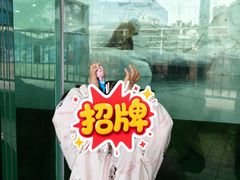 -海合安成都极地海洋公园