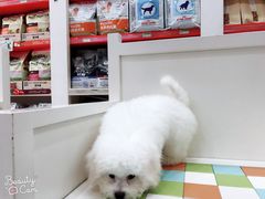 -瑞鹏宠物医院·微创内窥镜·骨外科·牙科(翠竹分院)