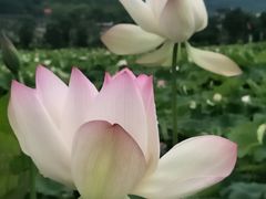 -古田会议纪念馆