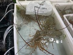 -黄沙水产交易市场