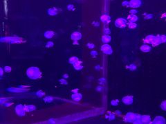 -多彩贵州城极地海洋世界