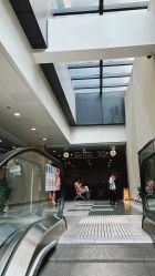 -上海交通大学医学院附属上海儿童医学中心(陆家嘴总院区)