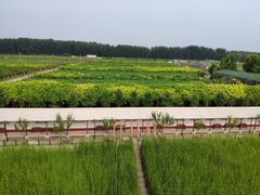 -河北村民俗体验园