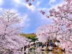 -廖记汆汤(东亭路店)