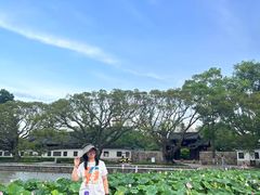 -江心屿景区