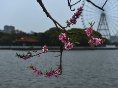 -无锡蠡湖国家湿地公园-蠡园