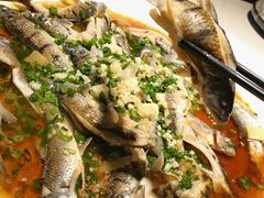 -千岛湖小鱼儿·淳安匠心农家菜