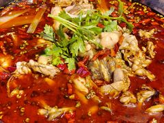 招牌美蛙-蛙老爹·蜀香美蛙鱼头(王家湾店)
