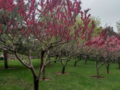 -元大都城垣遗址公园