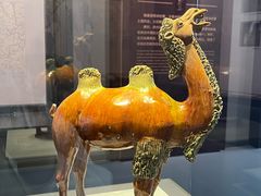 -贵州省博物馆(新馆)