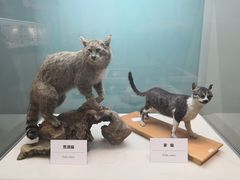 -国家自然博物馆