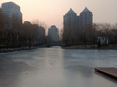 -团结湖公园