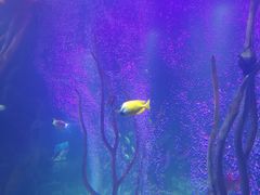 -沈阳海洋探索中心